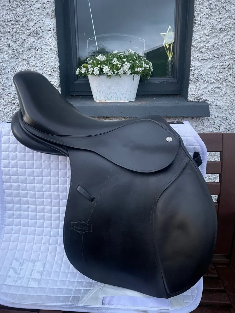 Saddle - Image 2