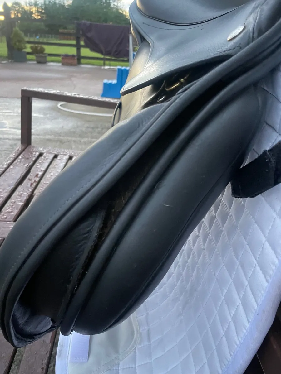 Saddle - Image 4