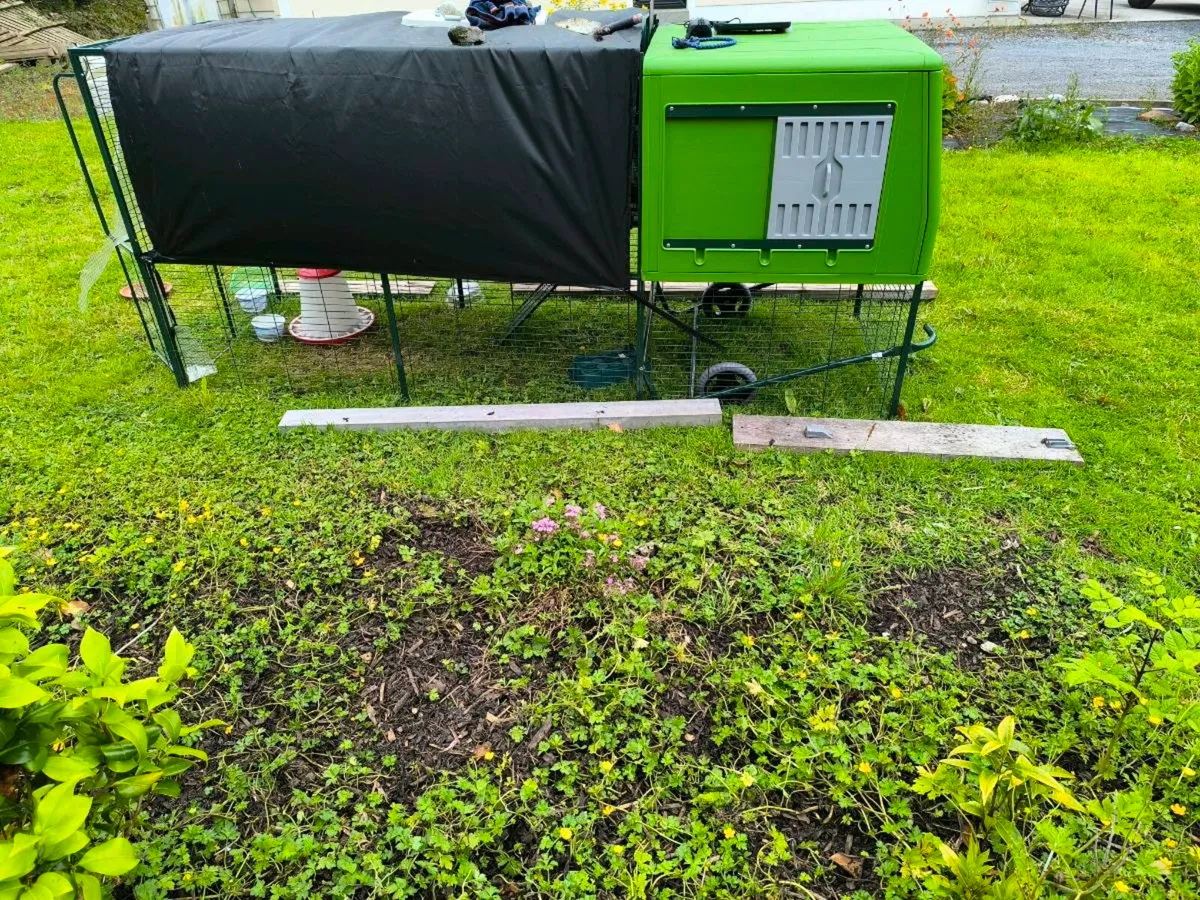 Chicken coop XXL - Image 3