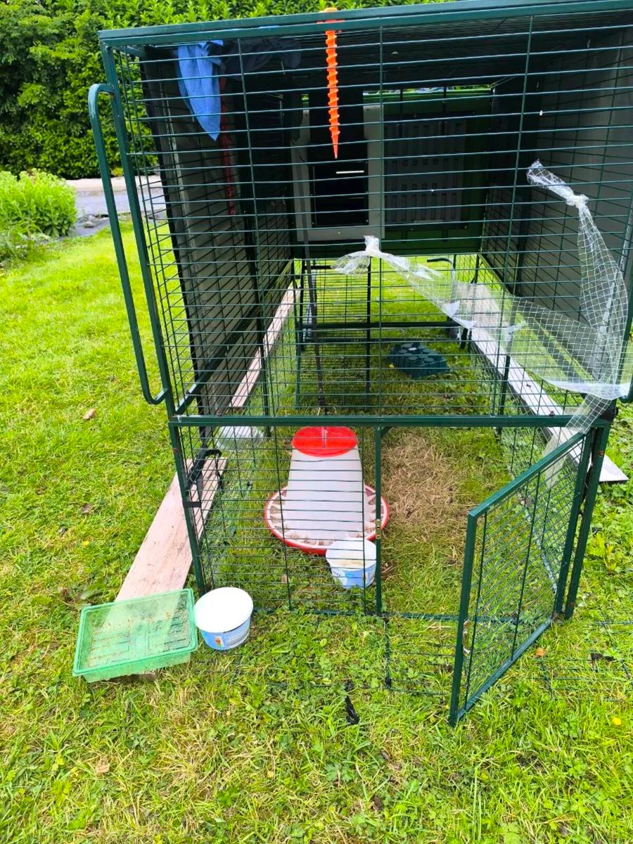 Chicken coop XXL - Image 4
