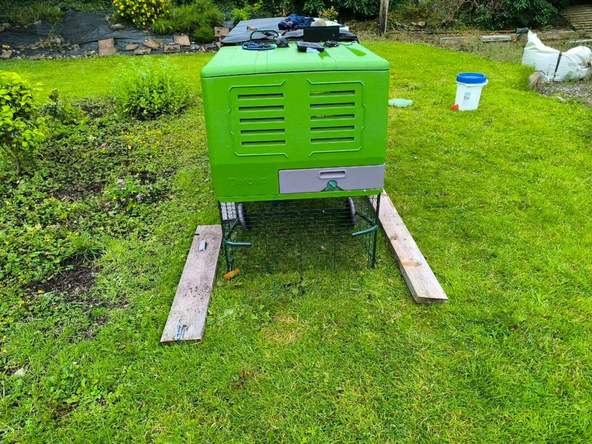 Chicken coop XXL - Image 2