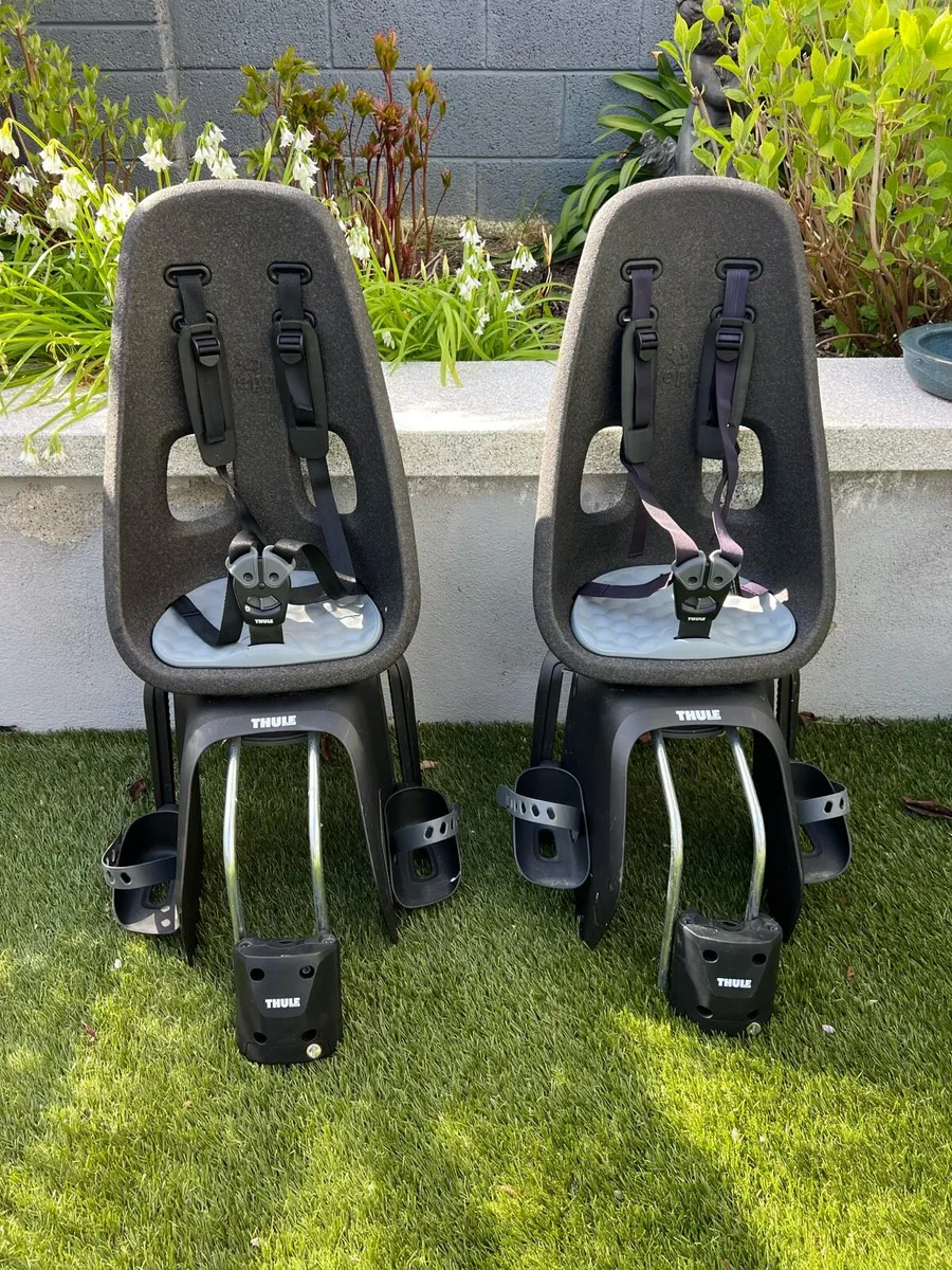 Thule Child Bike Seats (RRP €169) - Image 1