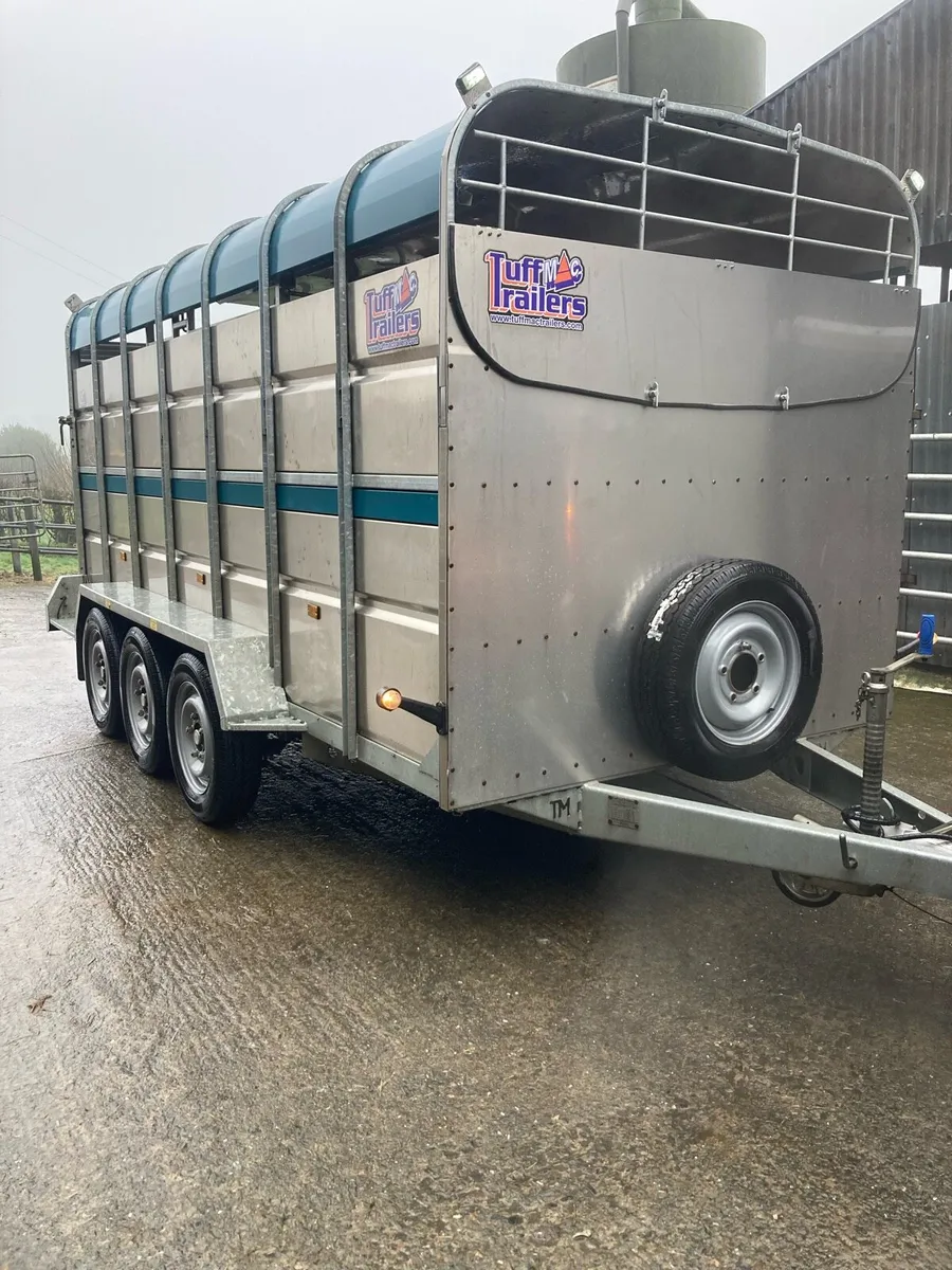 Tuffmac Livestock Trailer - Image 1