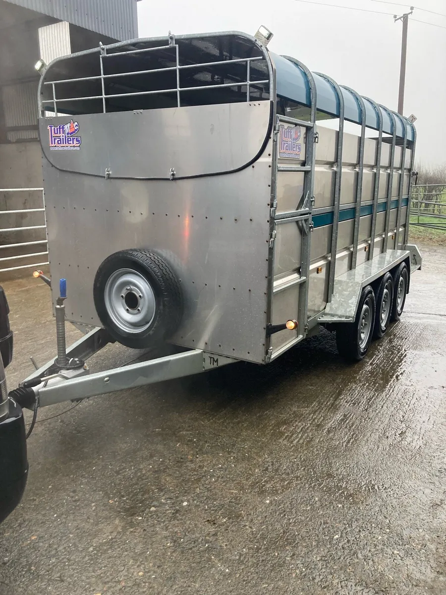 Tuffmac Livestock Trailer - Image 2