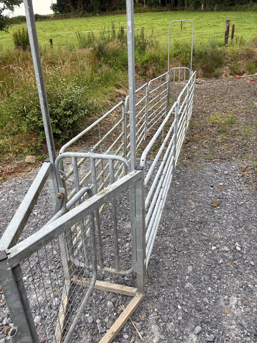Sheep drafting gates - Image 1