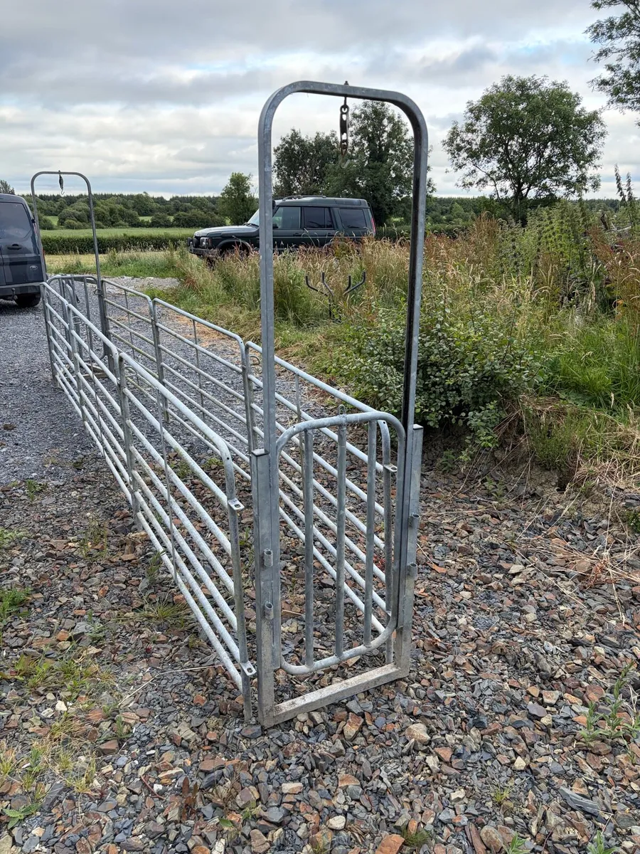 Sheep drafting gates - Image 3