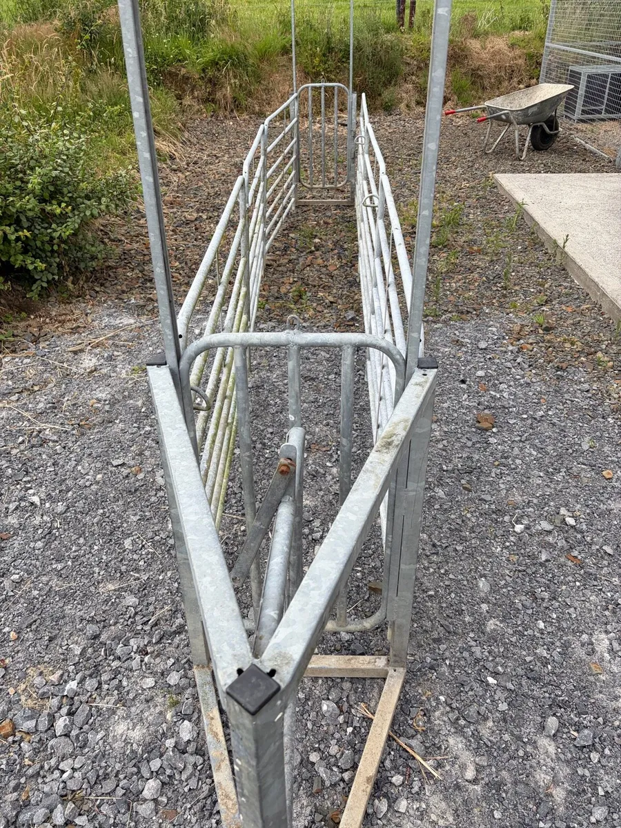 Sheep drafting gates - Image 4