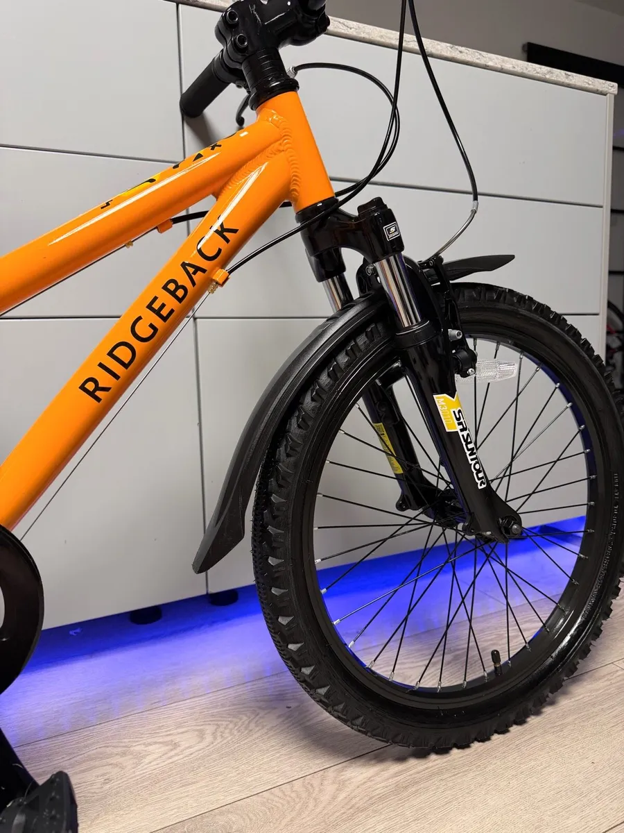 Ridgeback MX20 Kids Bike 20 inch - Image 3