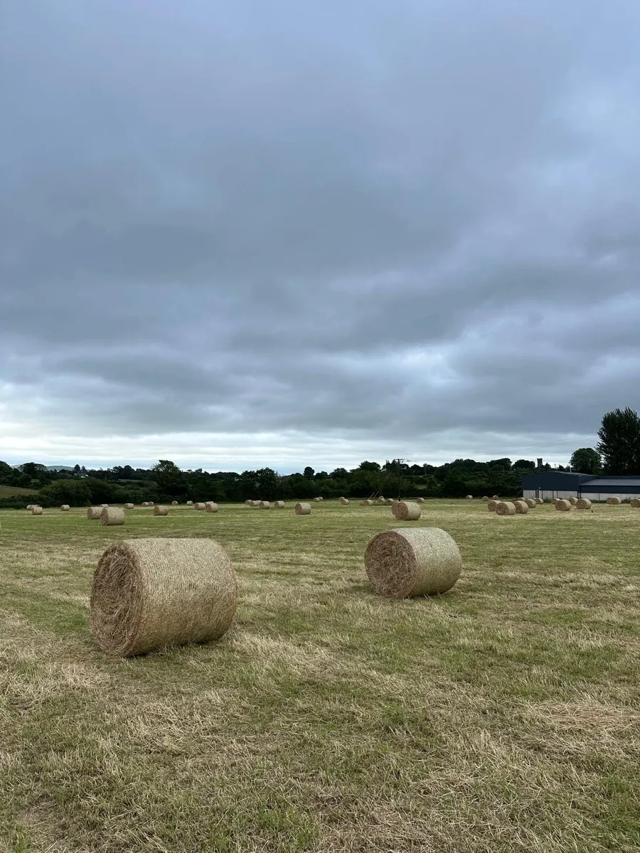 Hay for sale Ferns area - Image 1