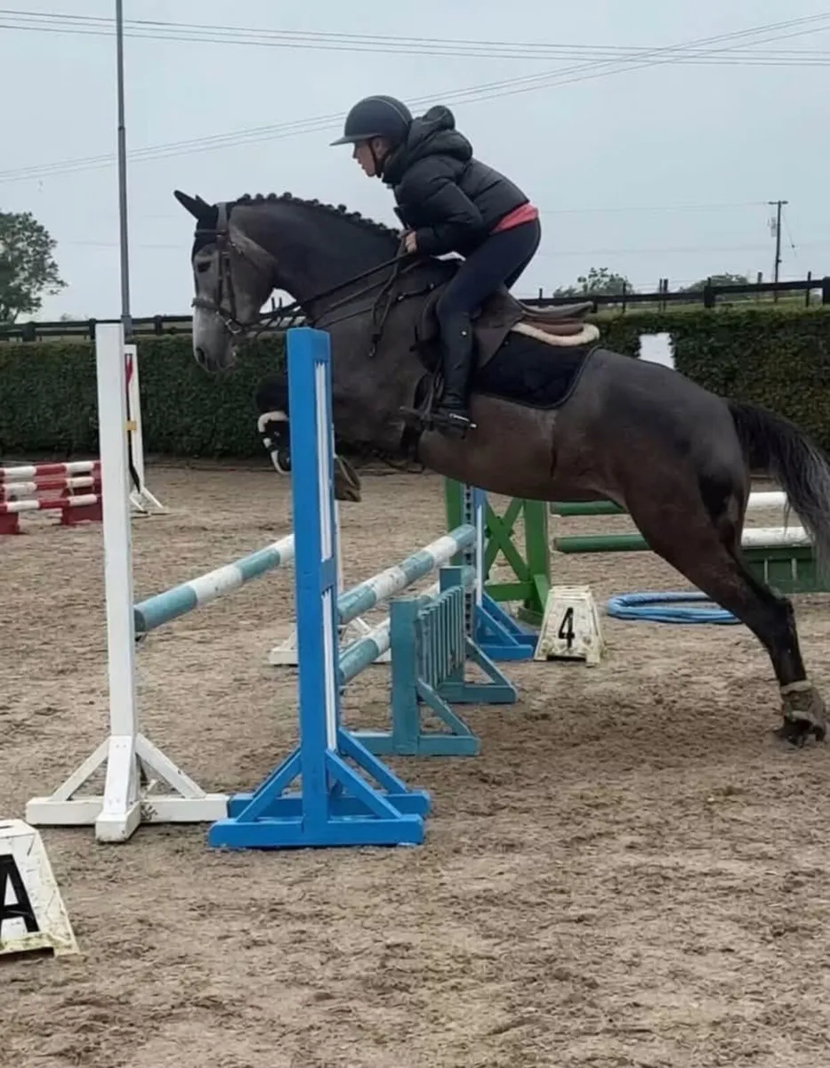 ⭐️Teenagers dream⭐️ 15.2 conni X easy allrounder - Image 1