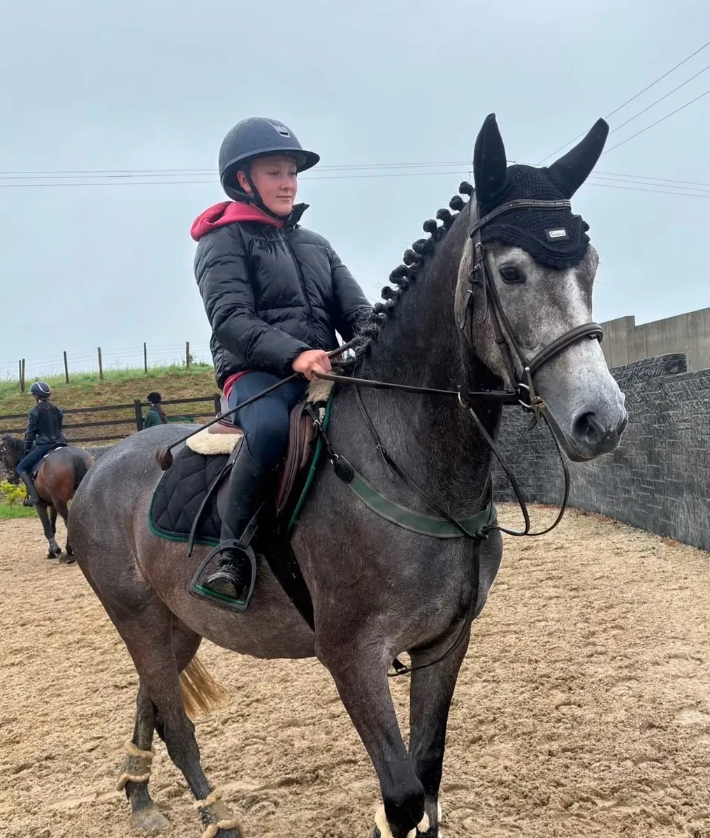 ⭐️Teenagers dream⭐️ 15.2 conni X easy allrounder - Image 2
