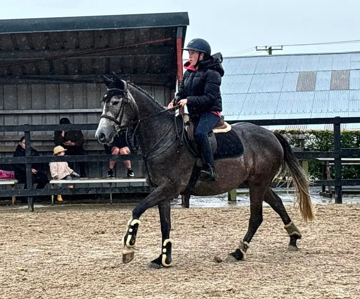 ⭐️Teenagers dream⭐️ 15.2 conni X easy allrounder - Image 3