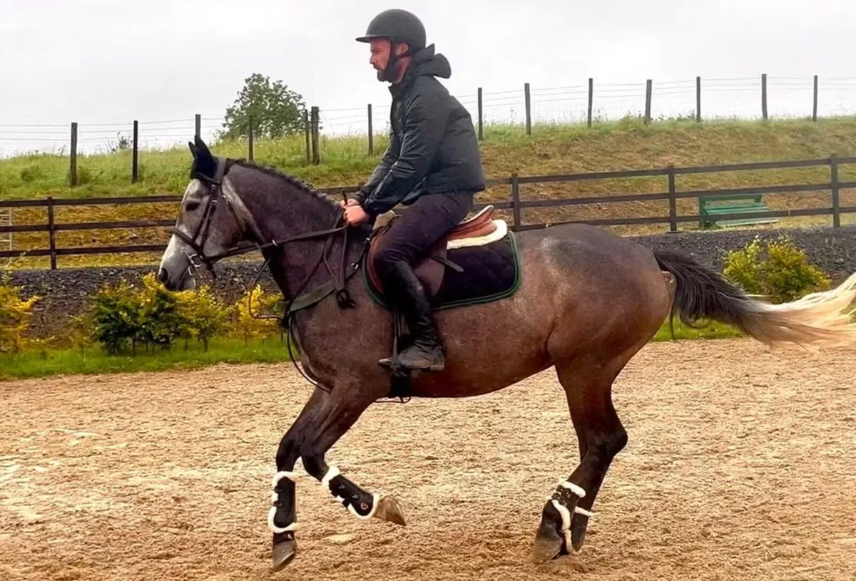 ⭐️Teenagers dream⭐️ 15.2 conni X easy allrounder - Image 4