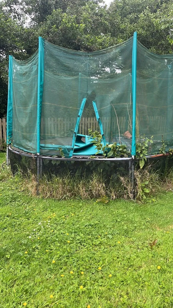 Large Tranpoline