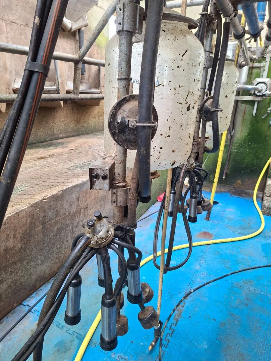 Milking parlour - Image 3