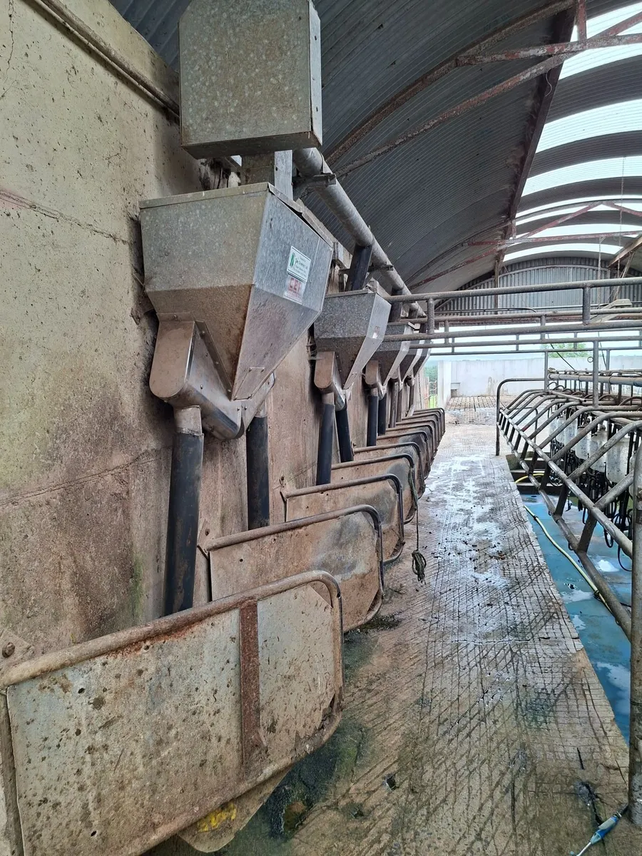 Milking parlour - Image 1