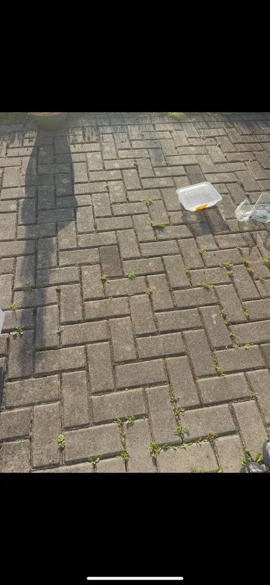 Reclaimed Pavers for sale - Image 1