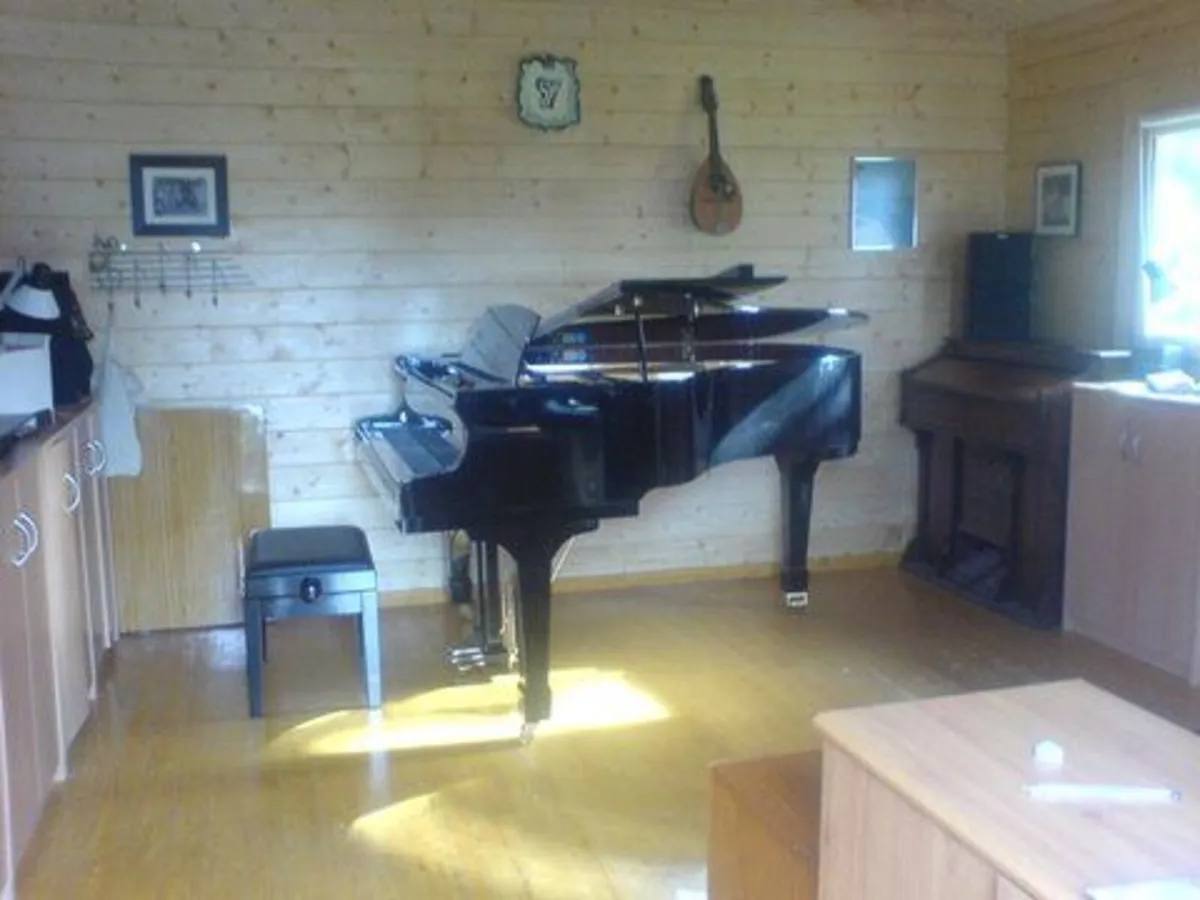 Sandner 178cm Grand Piano 2009 - Image 2