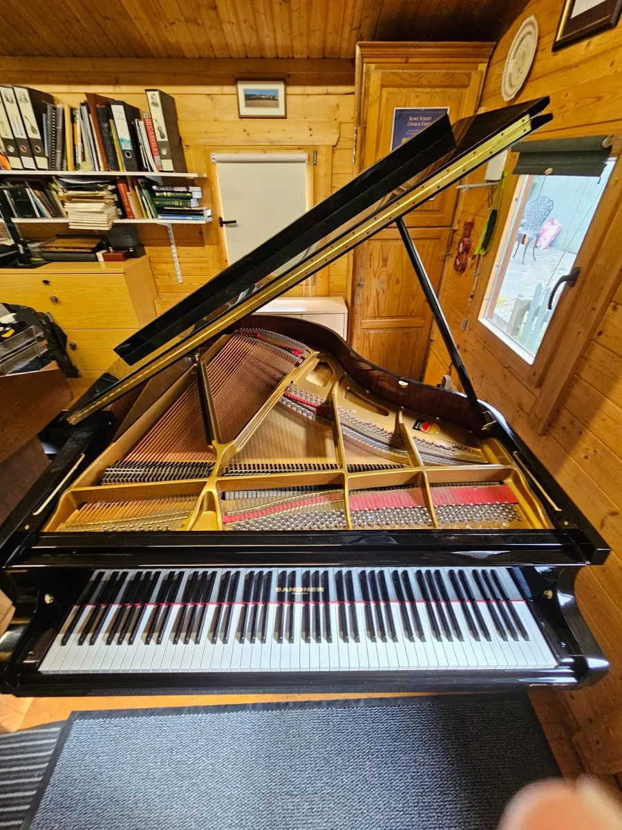 Sandner 178cm Grand Piano 2009 - Image 4