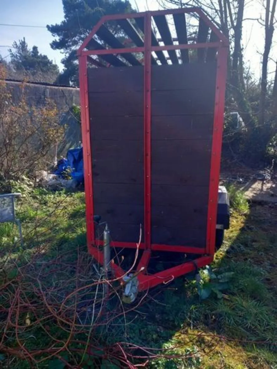 Trailer for Sale for hold Sports equipment - Image 4
