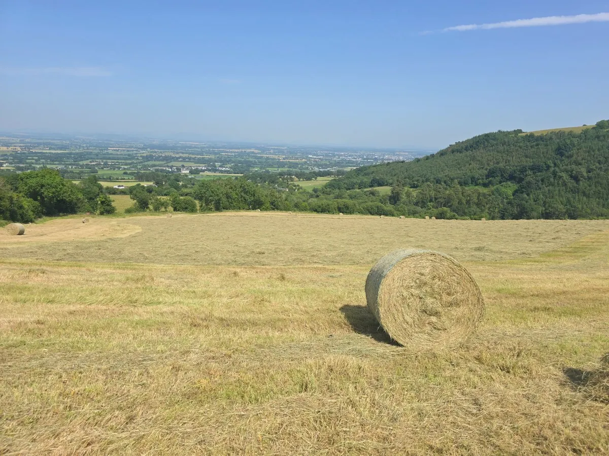 June Hay