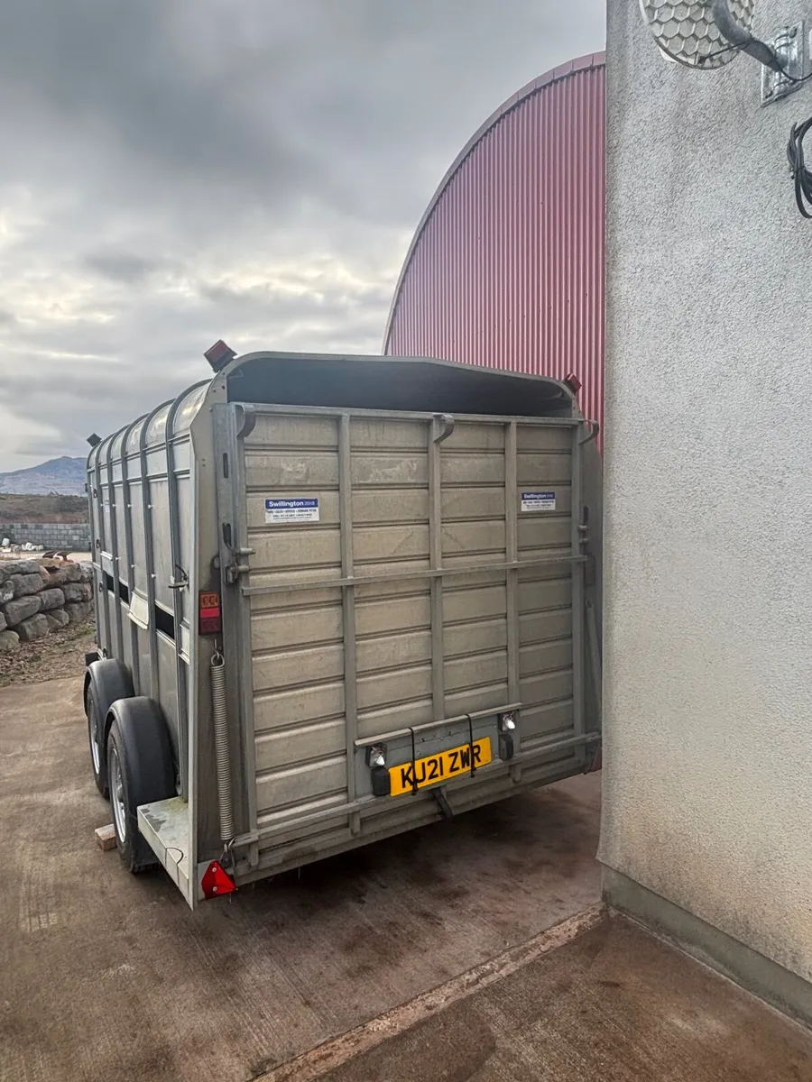 Ifor Williams 12 x 6 Cattler trailer - Image 3