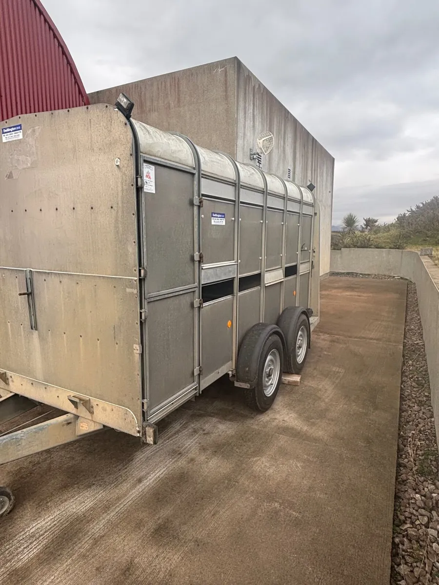 Ifor Williams 12 x 6 Cattler trailer - Image 1