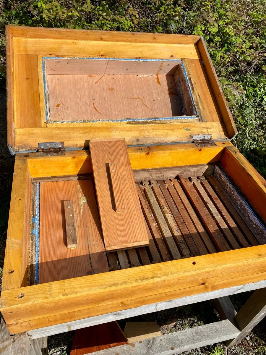 Top bar beehives - Image 4