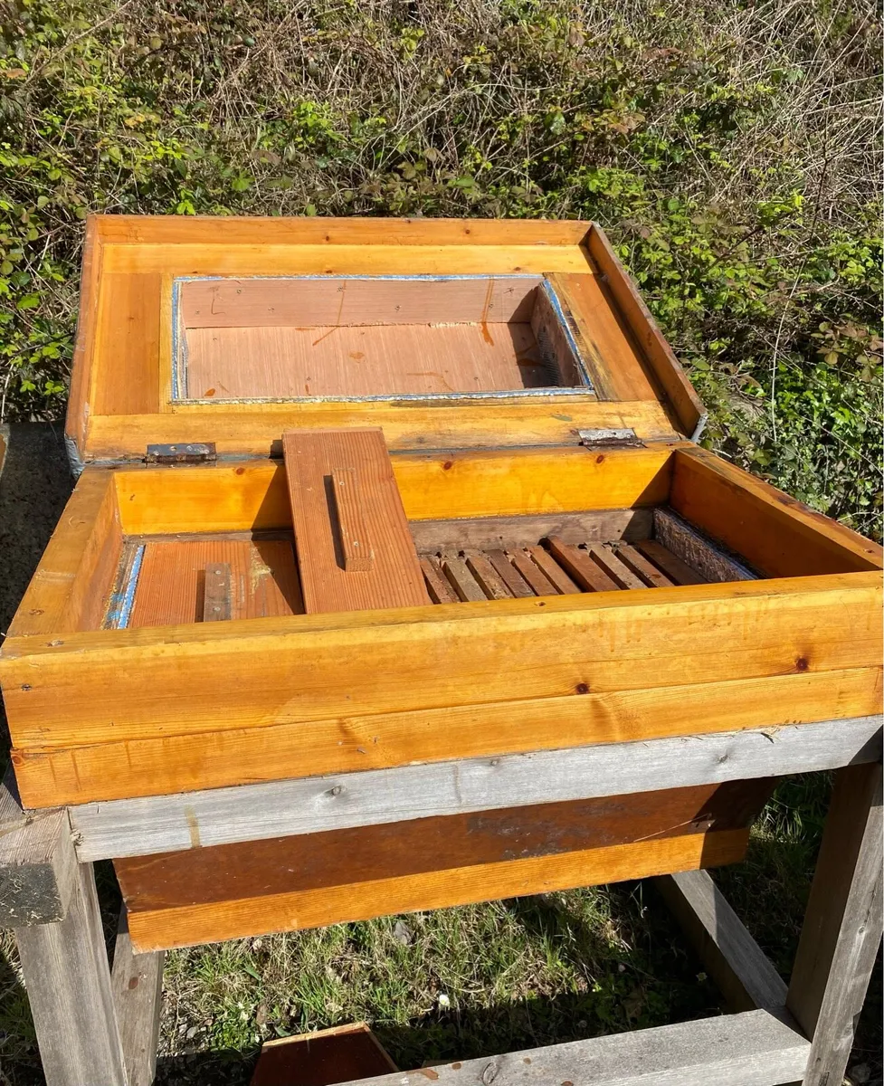 Top bar beehives - Image 3