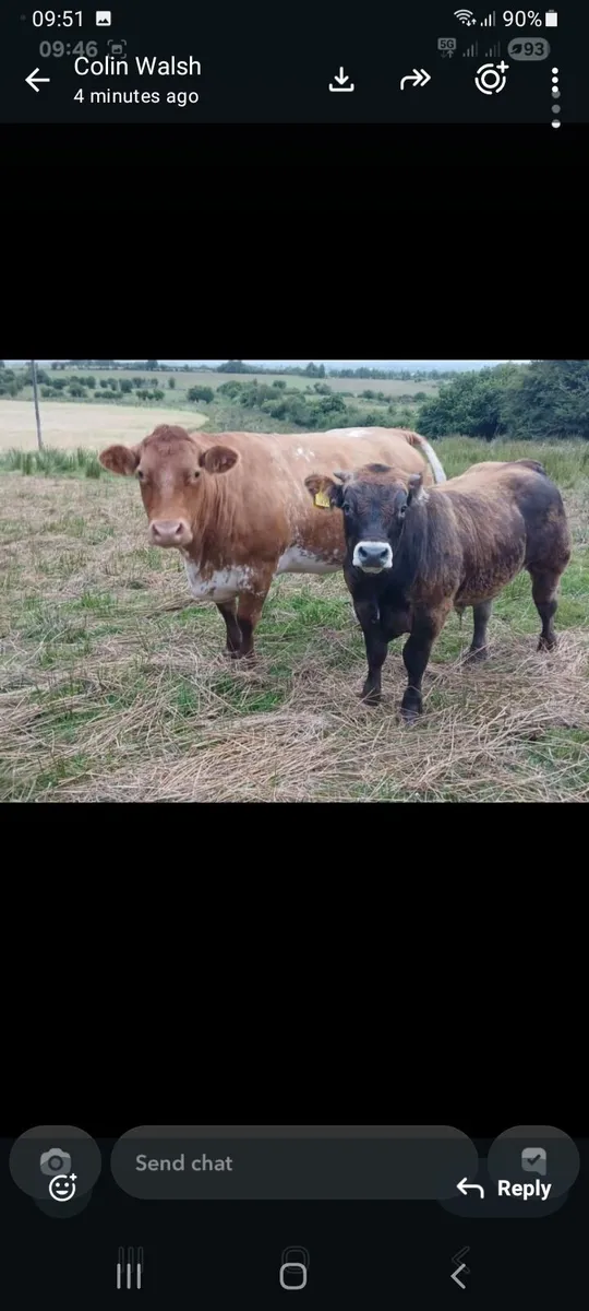 SUPER TEAM FOR HEADFORD MART 4TH OF JULY - Image 1