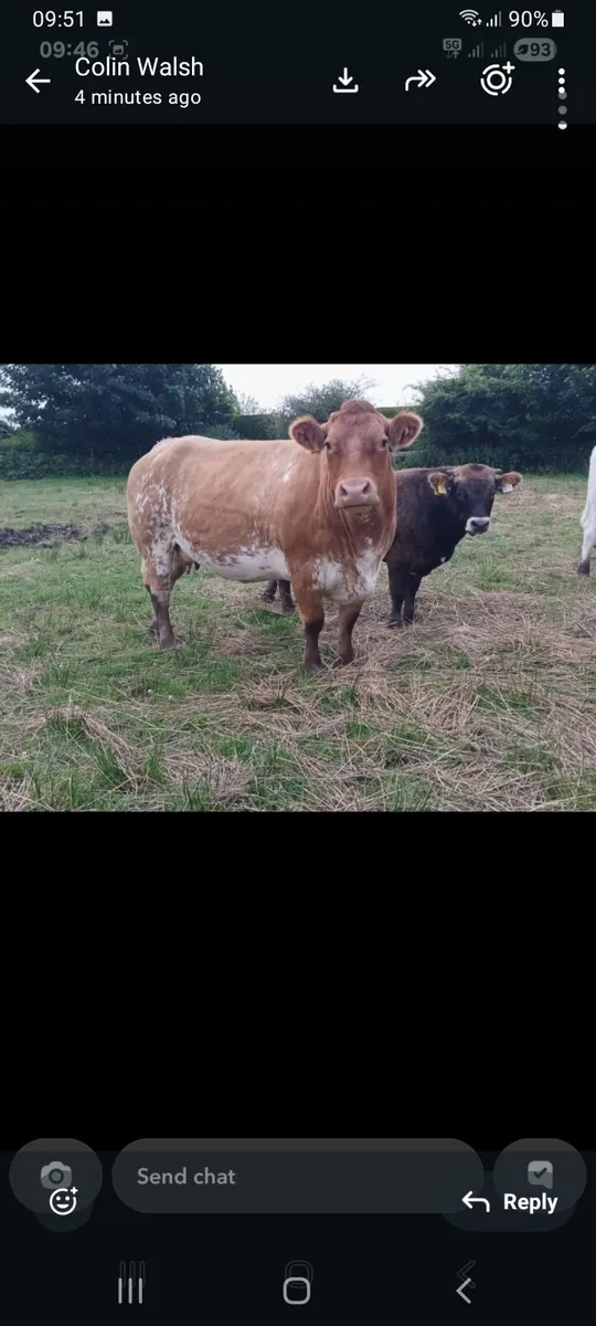 SUPER TEAM FOR HEADFORD MART 4TH OF JULY - Image 3