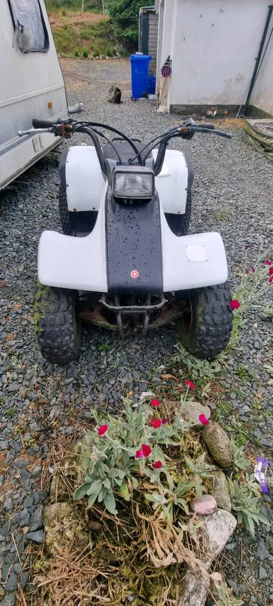 Yamaha breeze 125 - Image 3