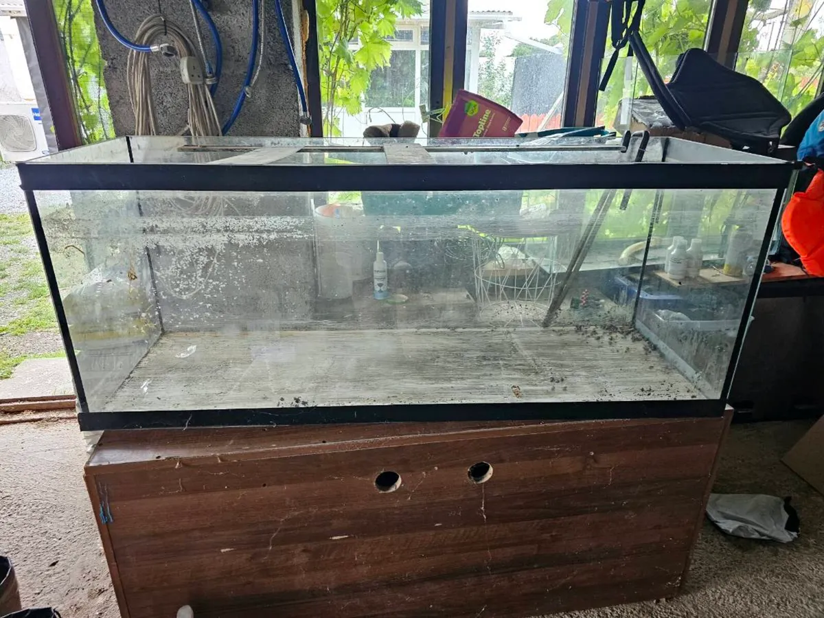 Aquarium 450l - Image 2
