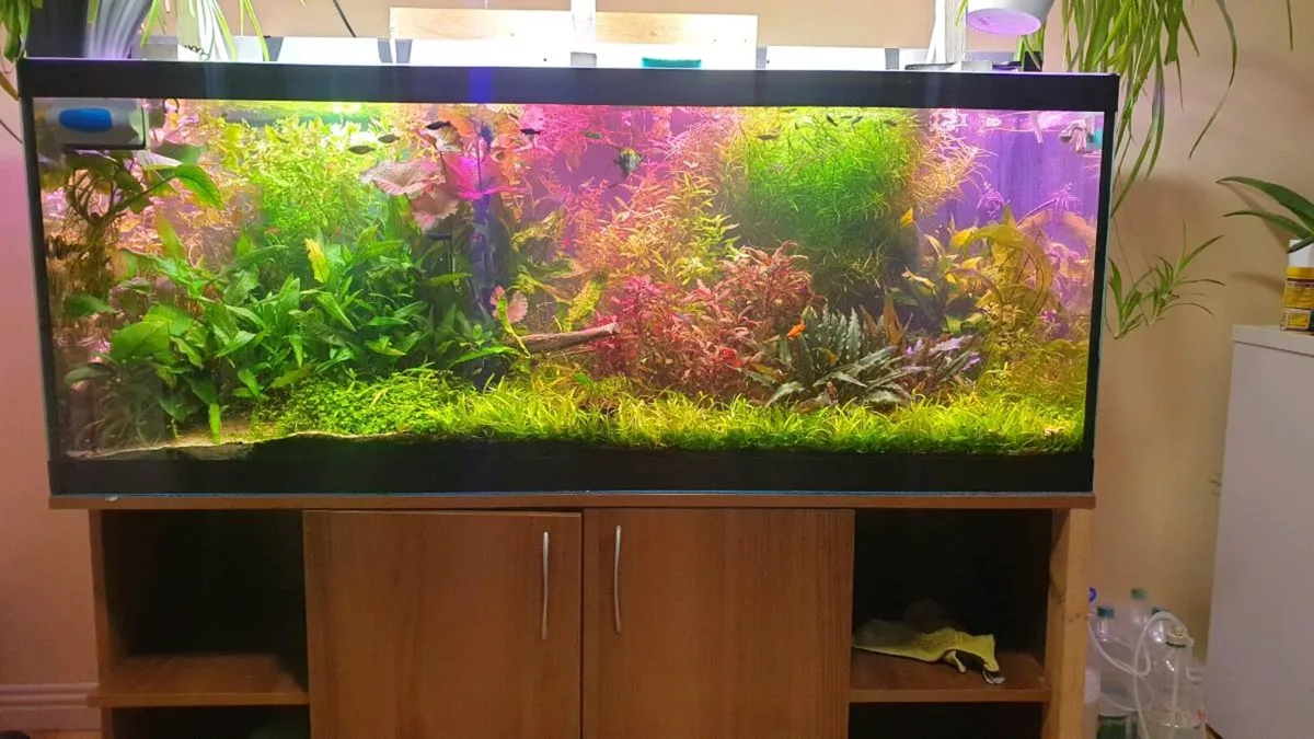 Aquarium 450l - Image 1