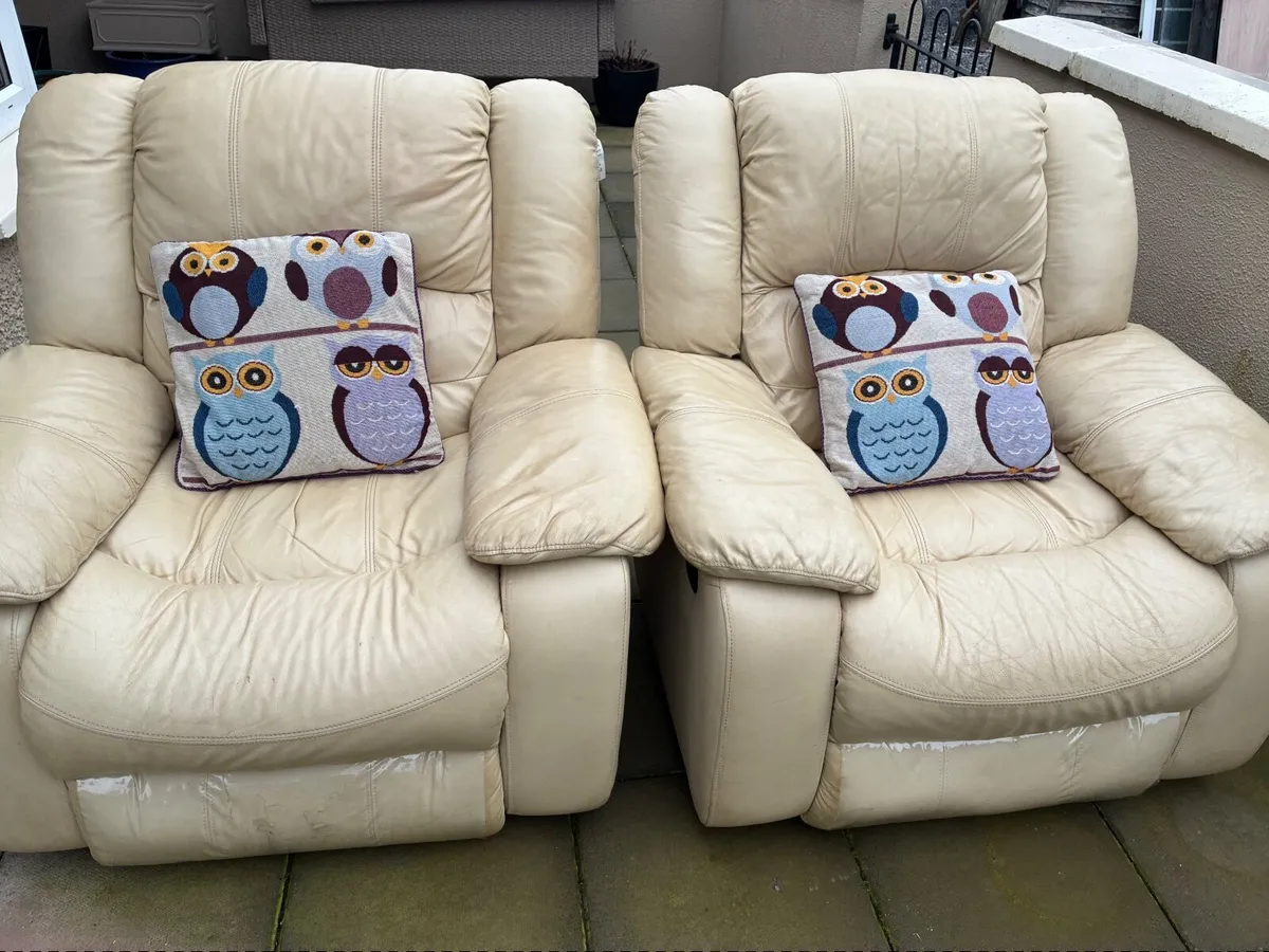 Two arm chairs - Image 2