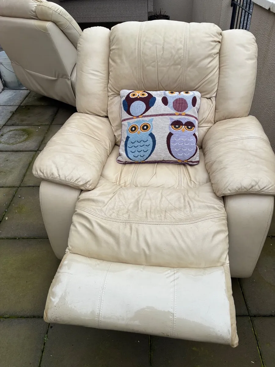 Two arm chairs - Image 3