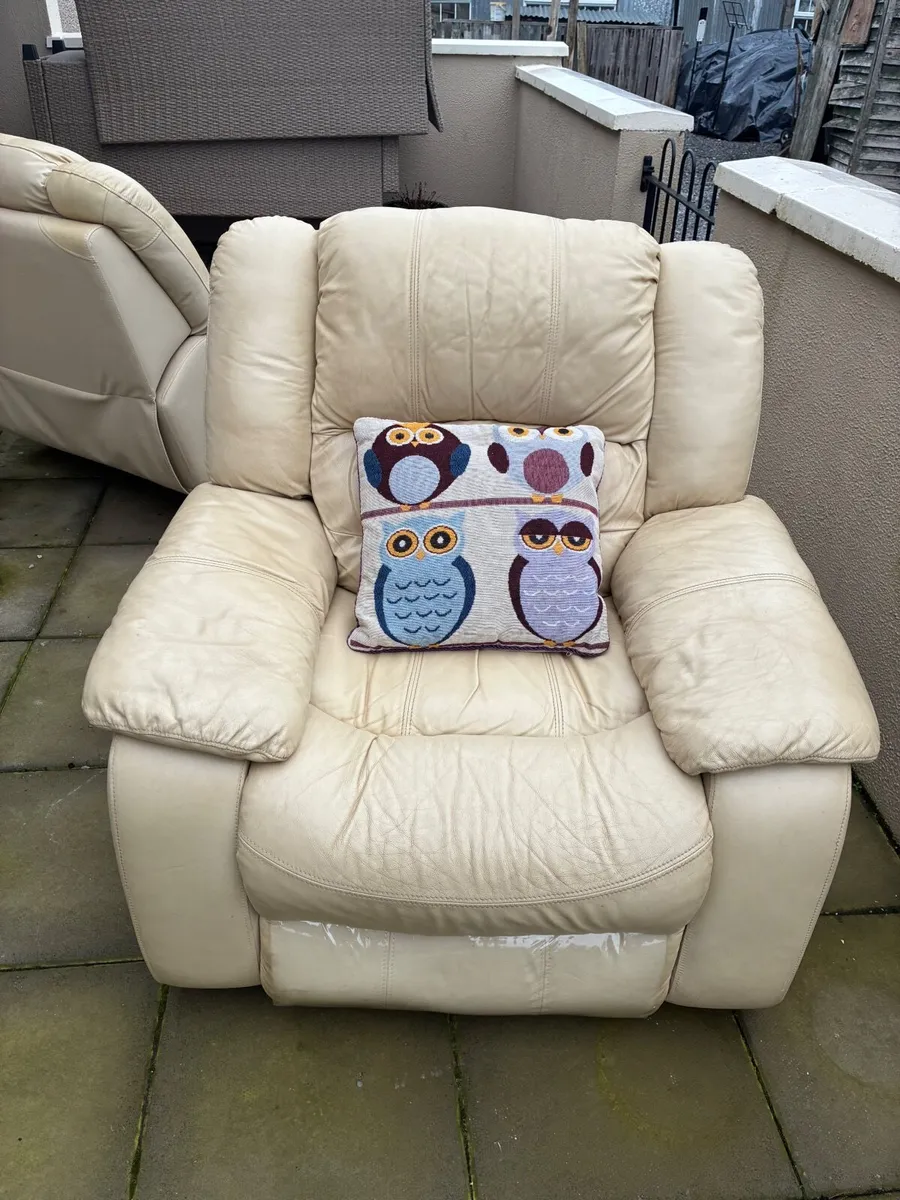 Two arm chairs - Image 4
