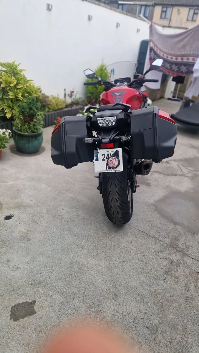 Suzuki gsx-s1000 gt  2024 - Image 3
