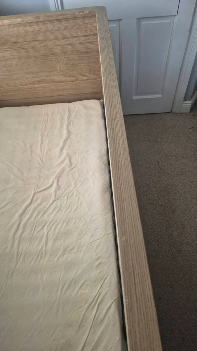 Cot - Image 3