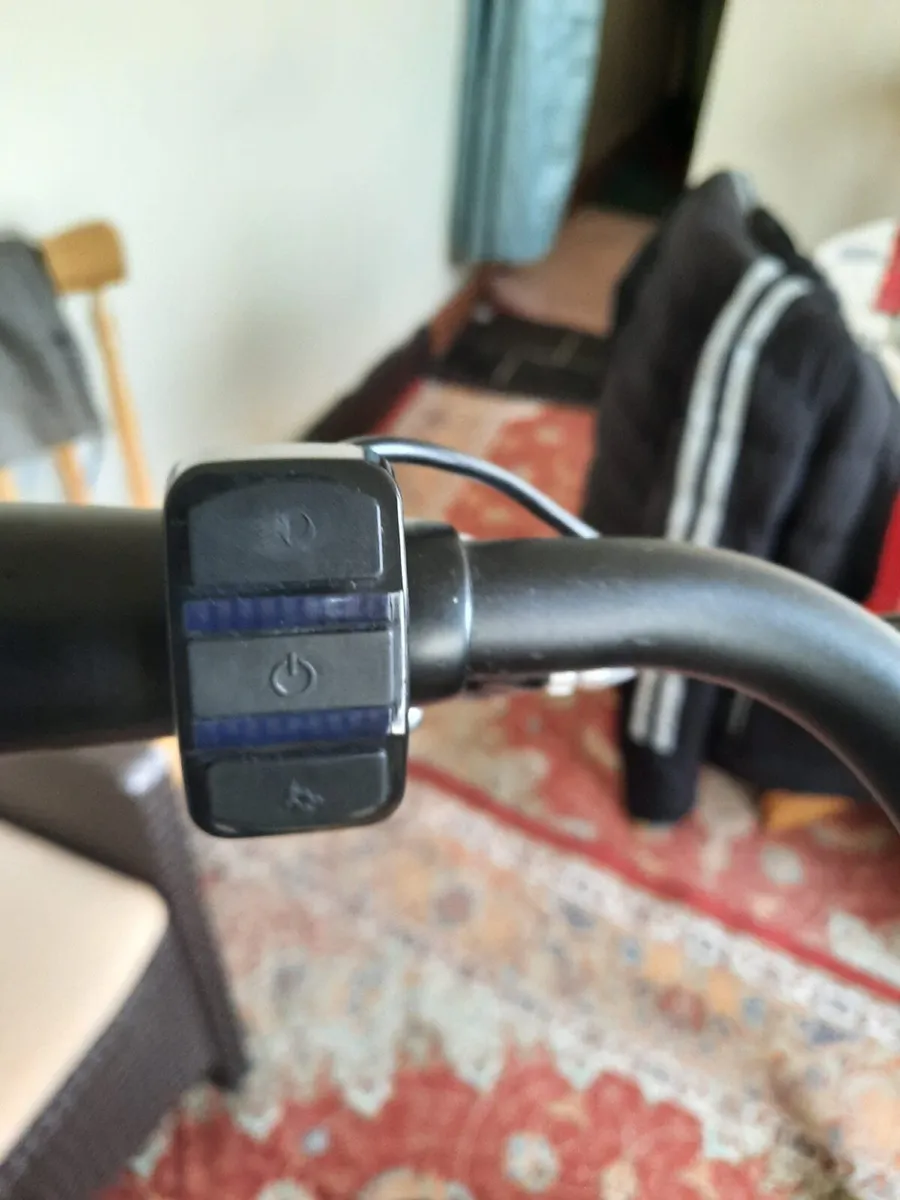 Devron Electric Bike - Image 4