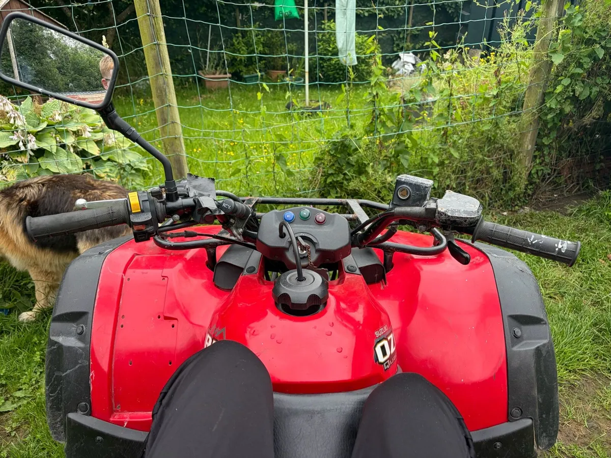 Suzuki Ozark 250 - Image 2