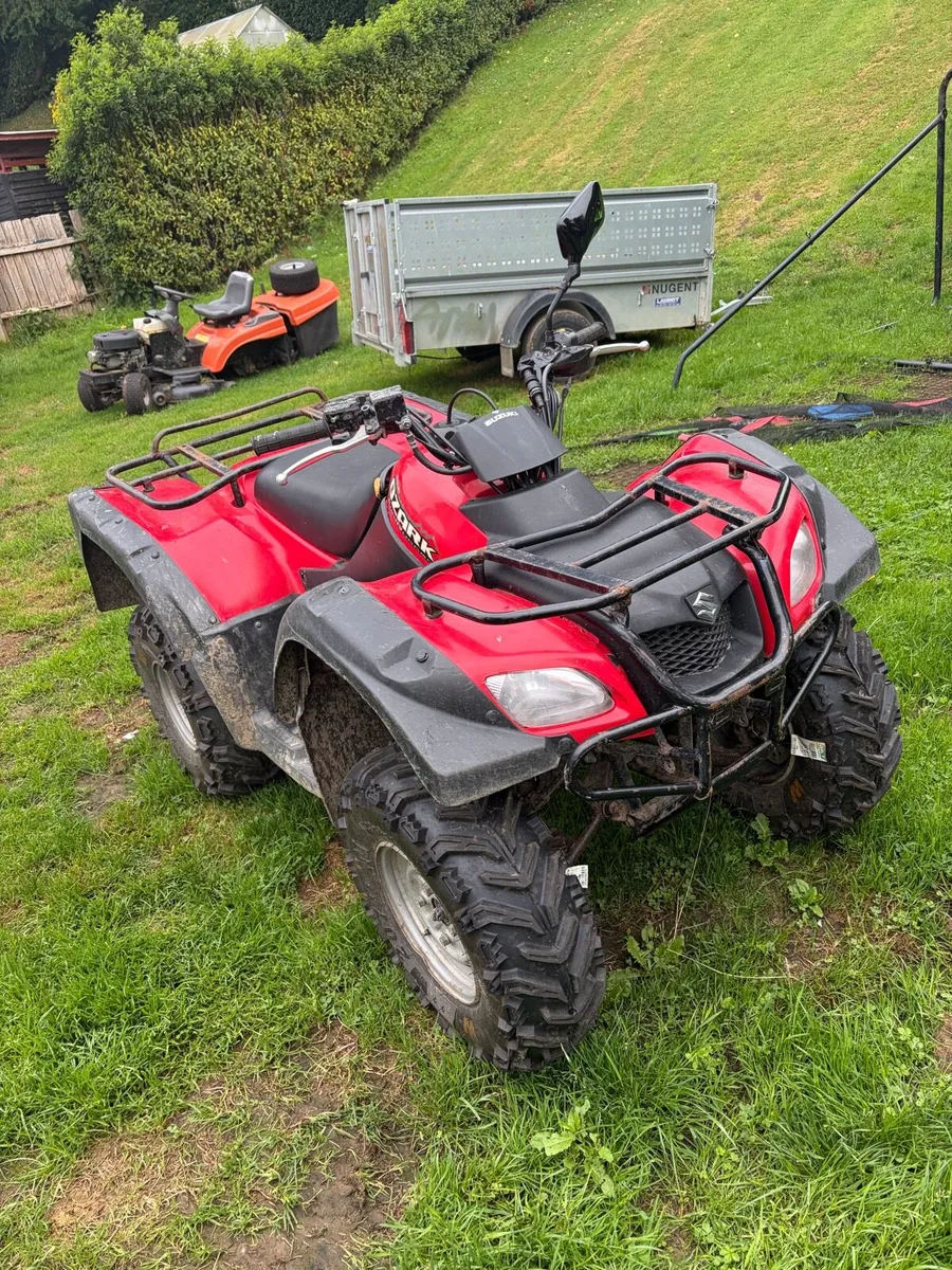Suzuki Ozark 250 - Image 4