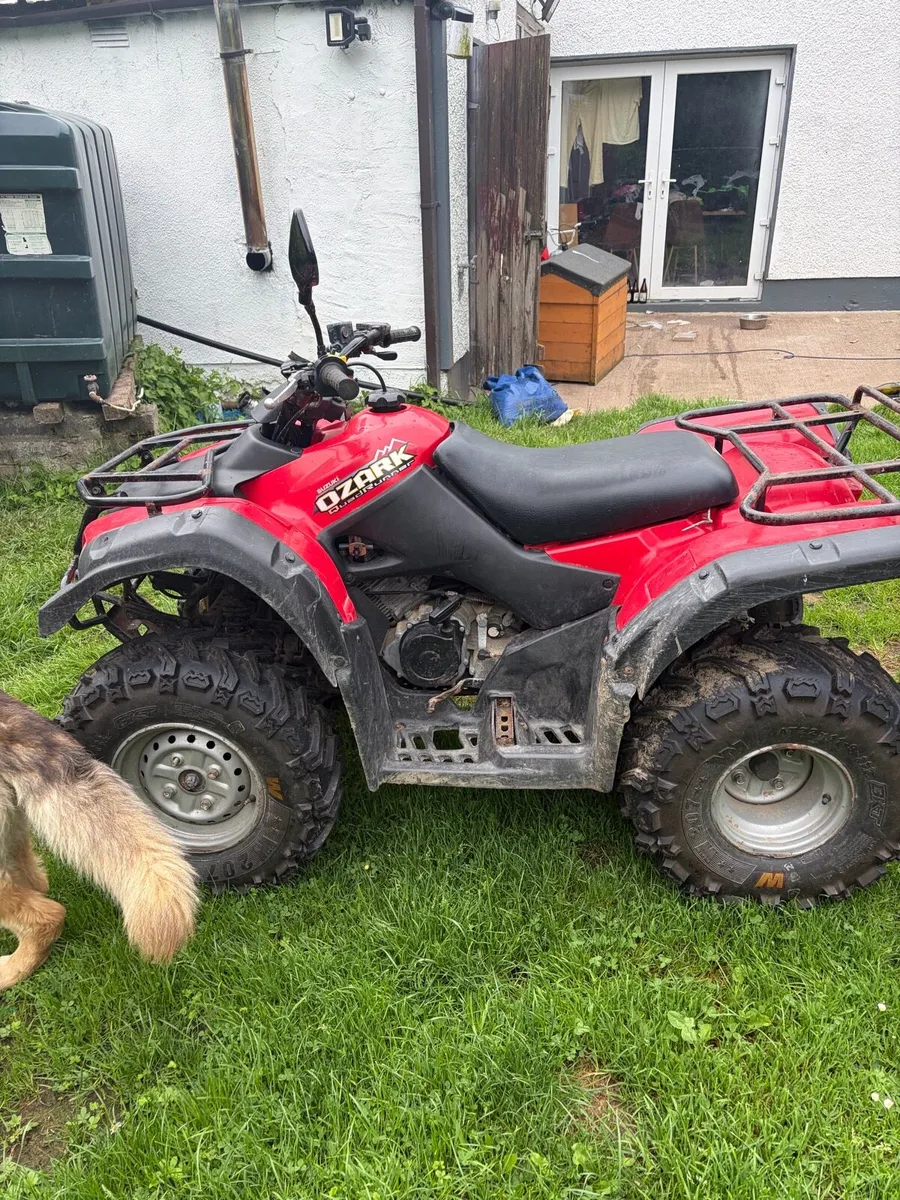 Suzuki Ozark 250 - Image 3