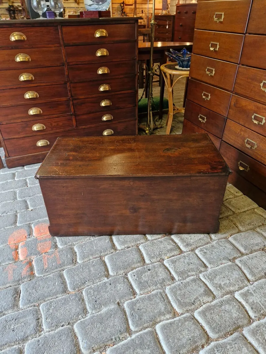 Trunk - Image 3