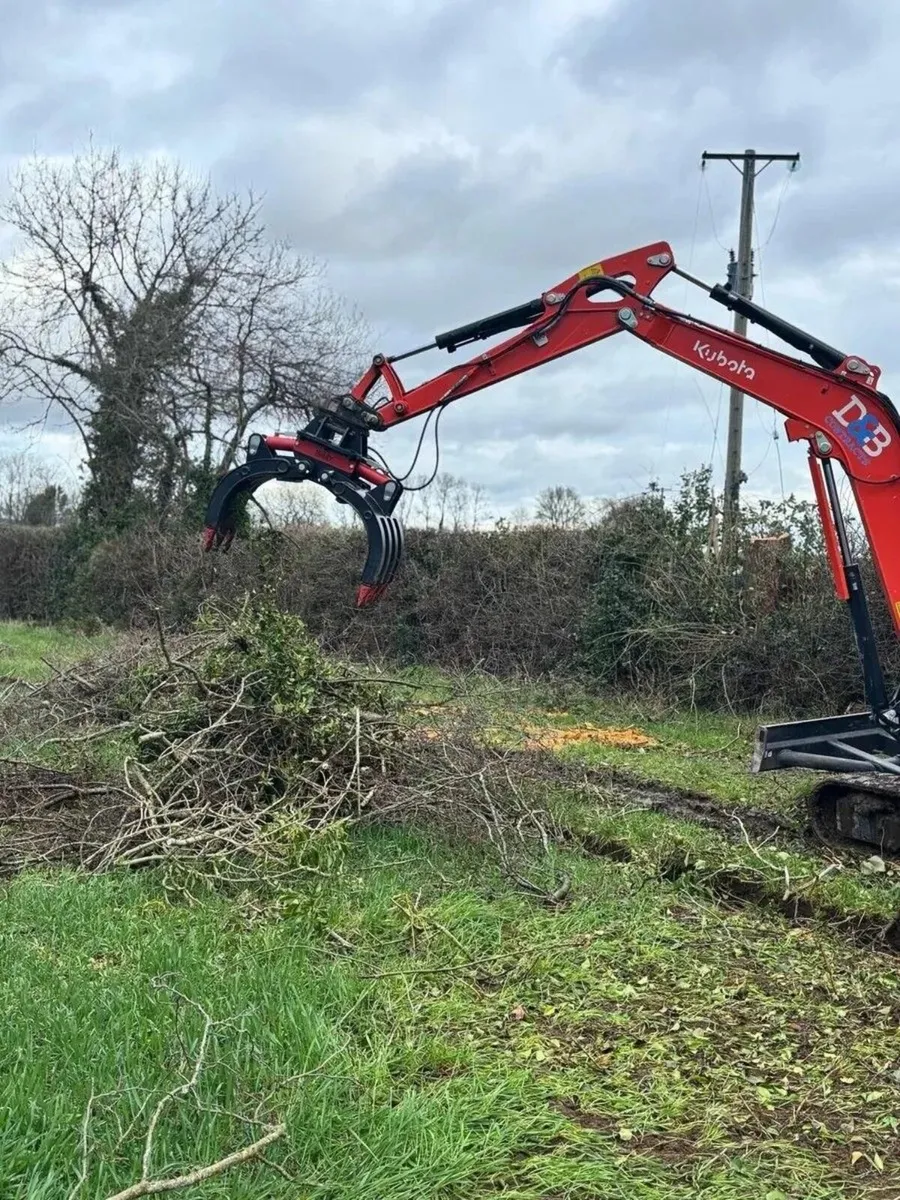 Biddy - Hydraulic Grapple - Image 4