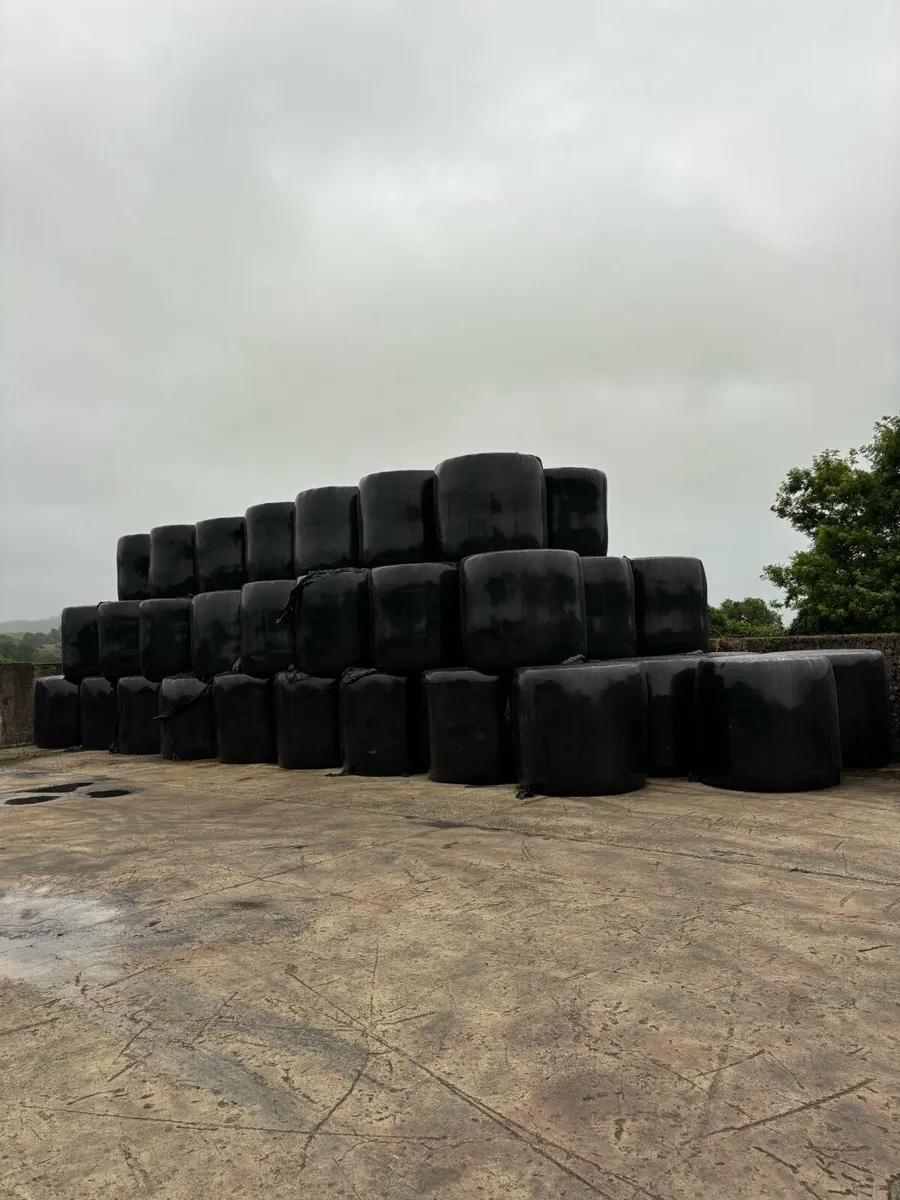 First cut haylage - Image 1