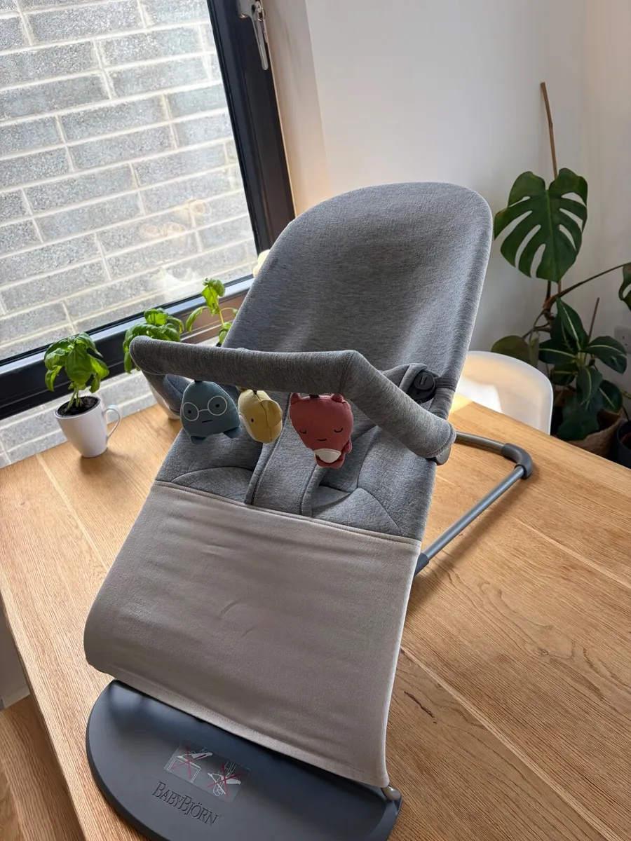 BabyBjorn bouncer with BabyBjorn Toybar - Image 1