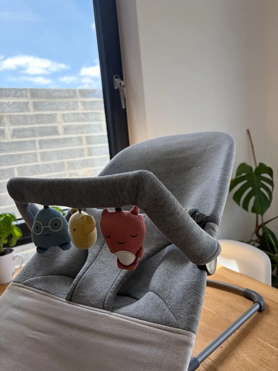 BabyBjorn bouncer with BabyBjorn Toybar - Image 2