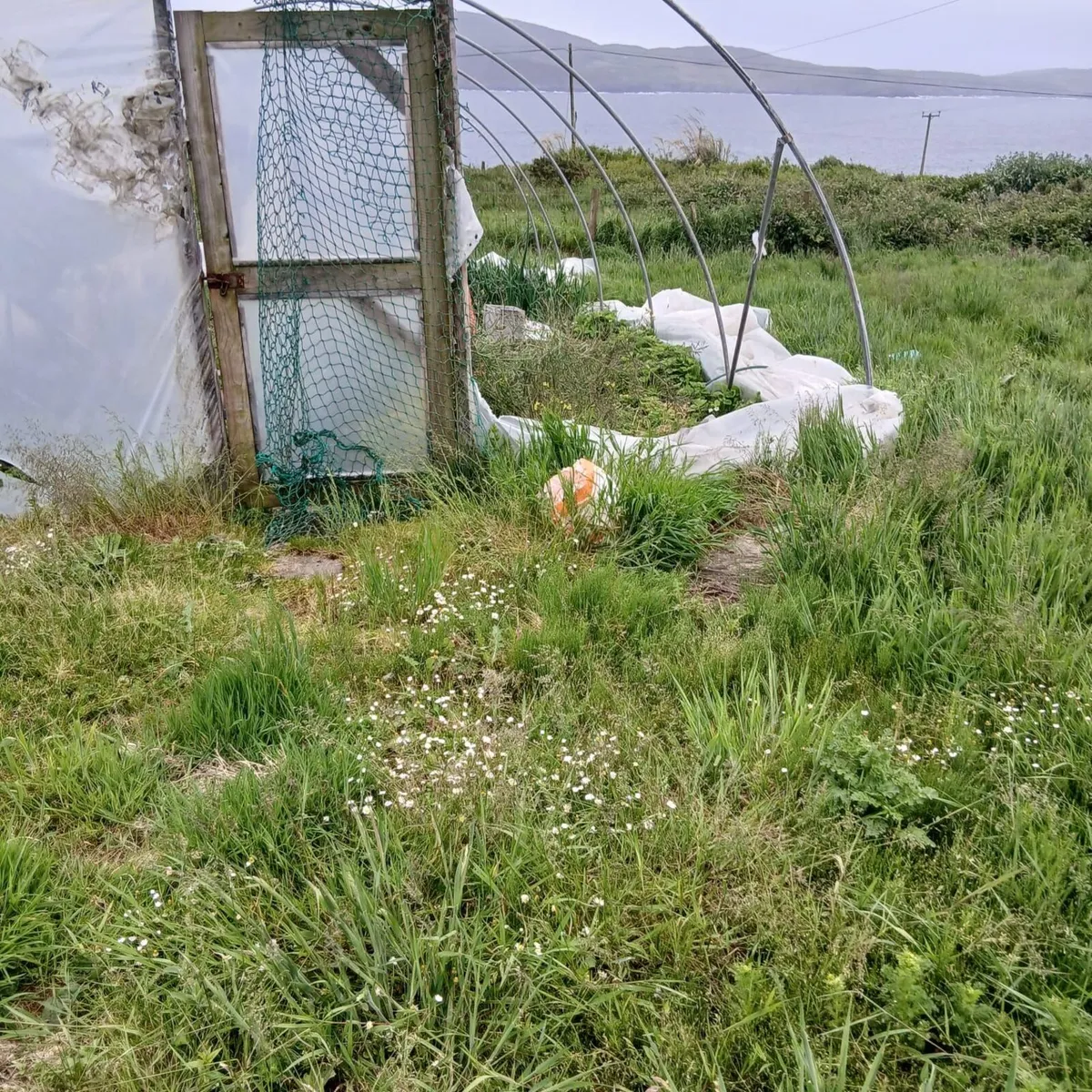 5 bay garden tunnel for sale - Image 2