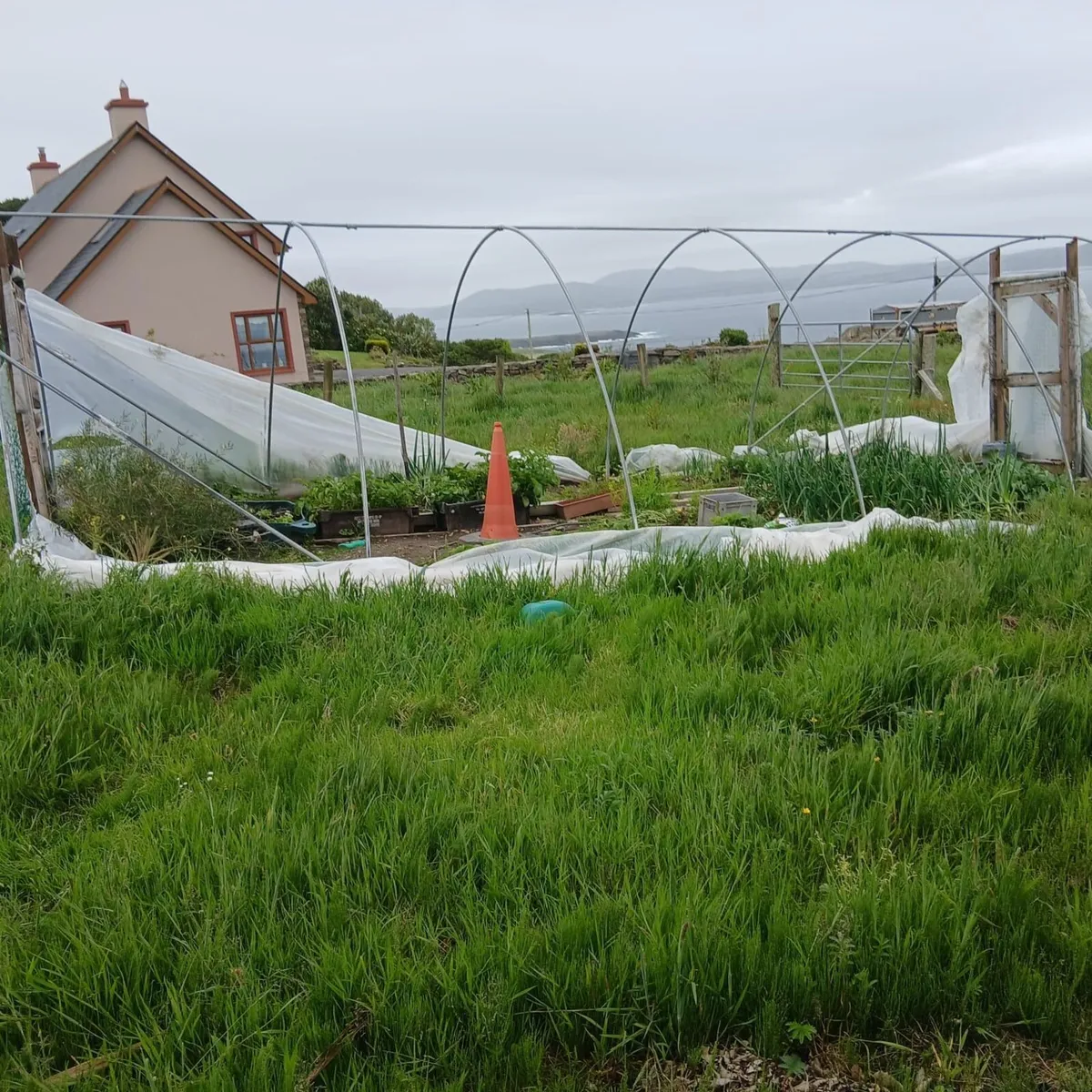 5 bay garden tunnel for sale - Image 4